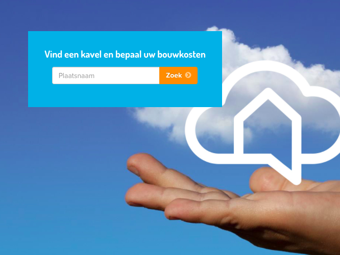 Buildizz homepage design